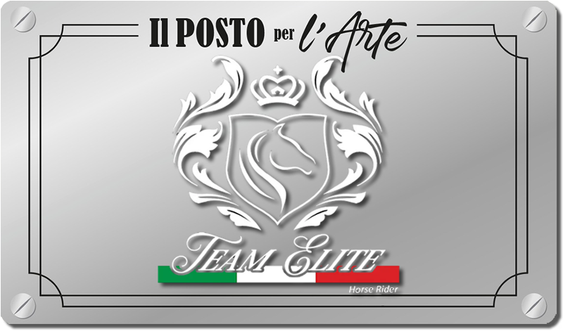 TEAM Elite Horse Rider